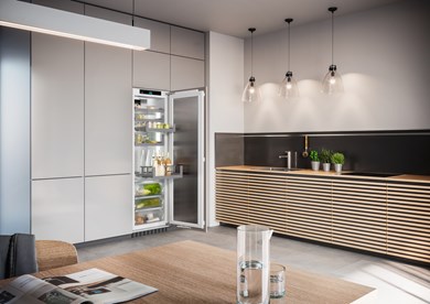 Liebherr IRBPci 5170 Peak Fully integrated Fridge & BioFresh (Discontinued)