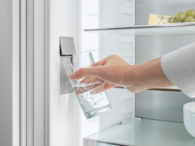 Liebherr IRBd5180 Integrated Fridge  with BioFresh, HydroBreeze and InfinitySpring (Discontinued)